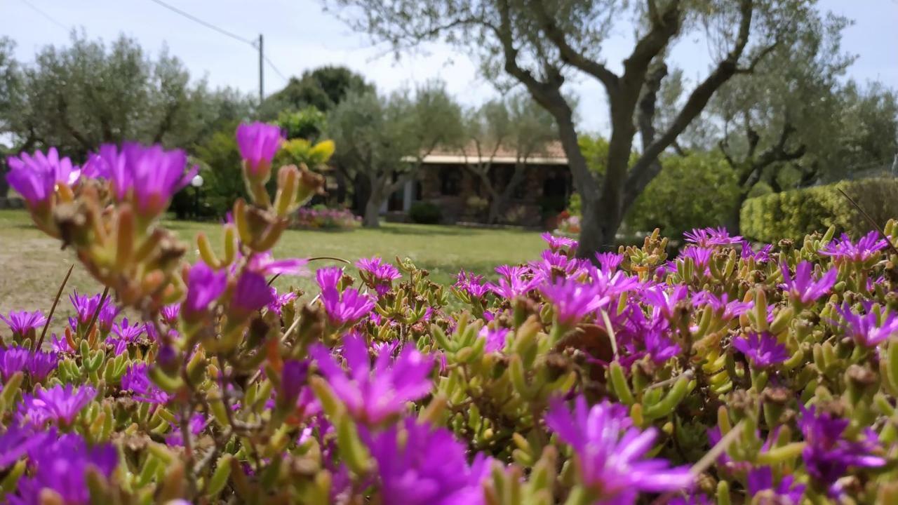Villa Feggaropetra by the Sea Ormos Panagias Esterno foto